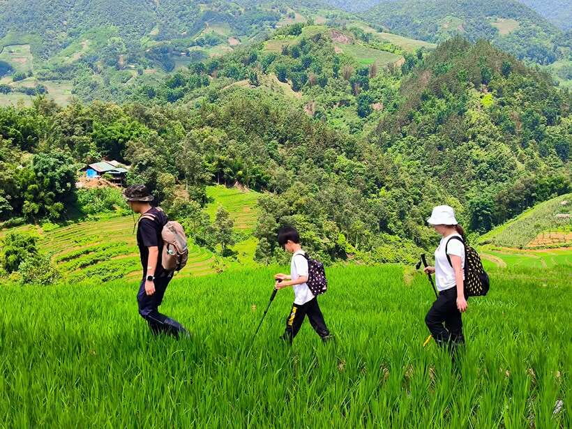 From Hanoi: 2-Day Sapa Trek Tour - Luxury Limousine Transfer - Price and logistics: where the $189 value really comes from