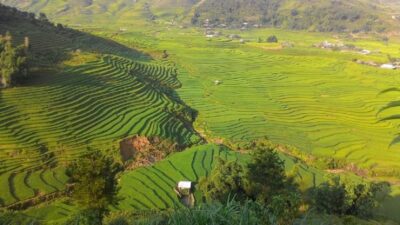From Hanoi: 2 Day Sapa Trekking To Village & Bungalow, Meals - Day 1 hike: Y Linh Ho, Lao Chai rice terraces, Muong Hoa Stream, and Ta Van