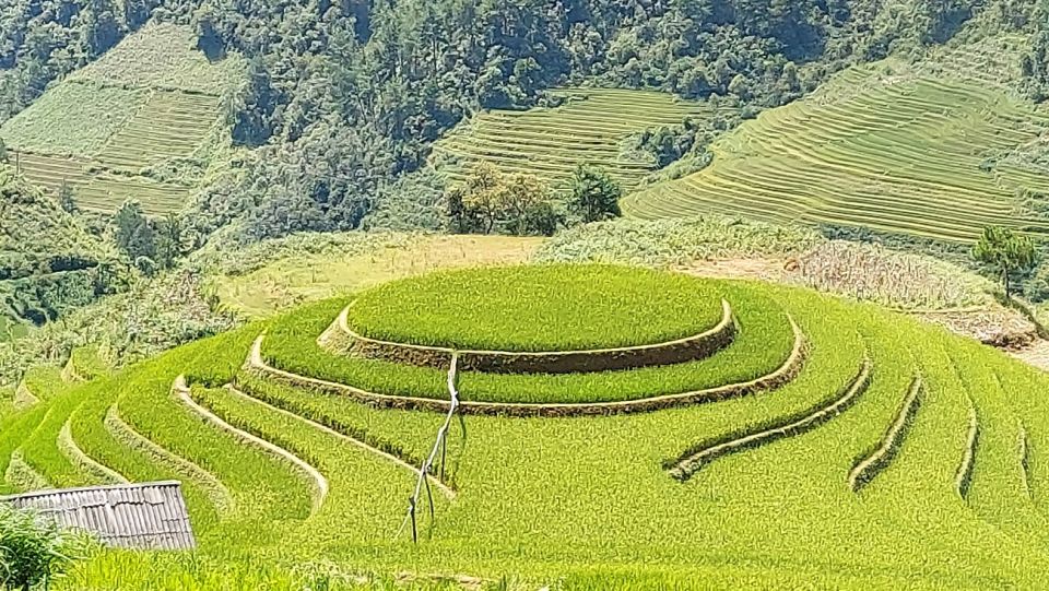 From Hanoi: 2 Day Sapa Trekking To Village & Bungalow, Meals - Day 2 trek to Giang Ta Chai: rice paddies, bamboo forest, and Red Dzao village views