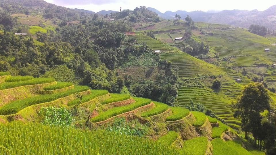 From Hanoi: 2 Day Sapa Trekking To Village & Bungalow, Meals - Price and inclusions: good value, but confirm one detail