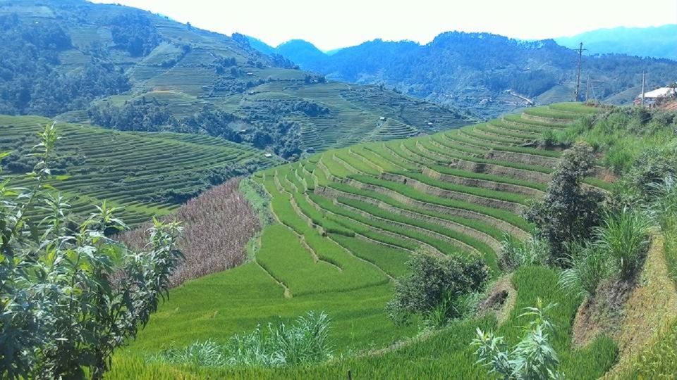 From Hanoi: 2 Day Sapa Trekking To Village & Bungalow, Meals - Should you book this 2-day Sapa trek from Hanoi?