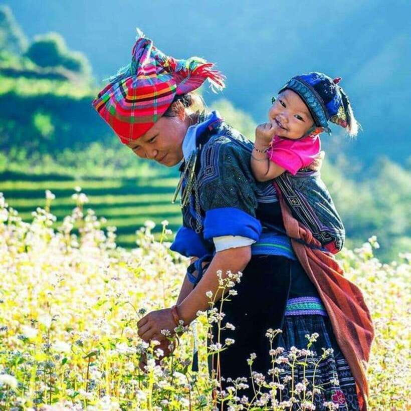 From Hanoi: 3-Day Guided Tour of Sapa with 3-Star Hotel - Entering Sapa the right way: Hanoi-to-Sapa sleeper bus, then town time