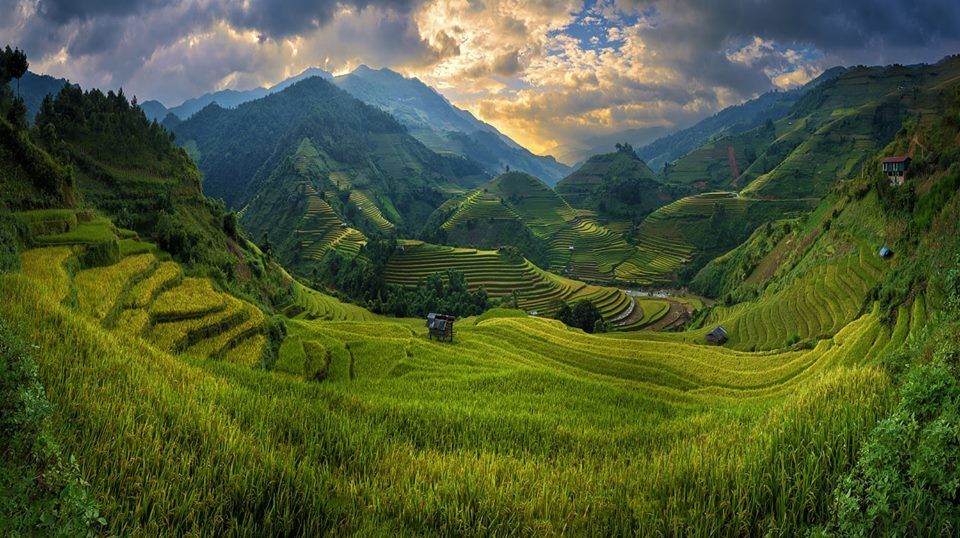 From Hanoi: 3-Day Sapa Trekking with Limousine Transfer - Who This Tour Suits Best (and Who Should Skip It)