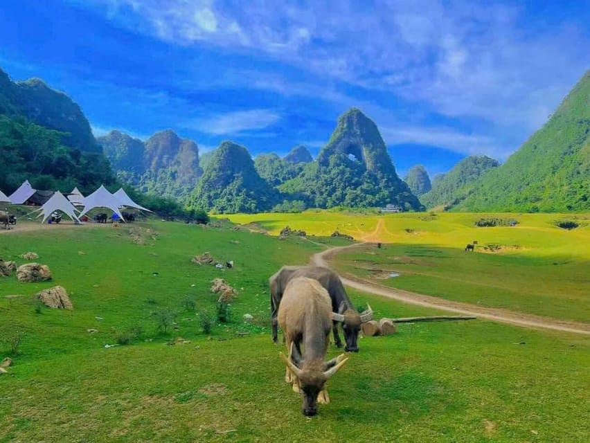 From Hanoi: Ban Gioc Waterfall 2 Day 1 Night - Small Group - Price and value: where the $200 per person really goes