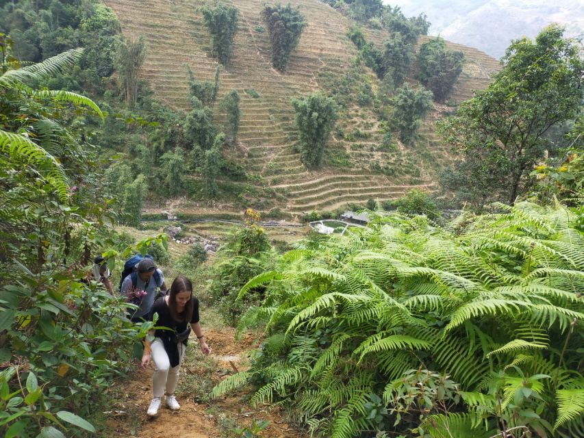 From Hanoi: Guided 2-Day Tour of Sa Pa with Lunch & Dinner - Guide and group size: why 10 people feels right