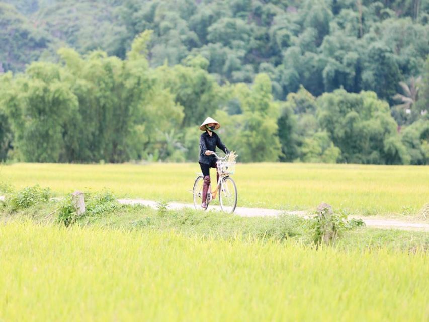From Hanoi: Mai Chau Valley & Hill Tribes 2-Day Trek Tour - Dinner With Thai Dance and Ruou Can: Fun, Cultural, and Not Just a Photo Stop