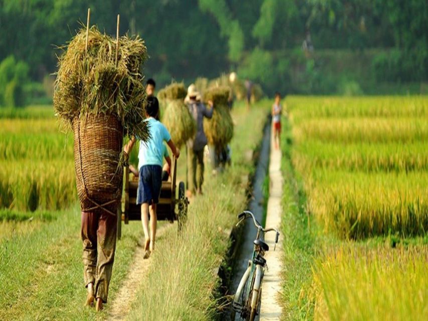 From Hanoi: Mai Chau Valley & Hill Tribes 2-Day Trek Tour - Price and Value: Is $185 a Good Deal for Two Days in Mai Chau?