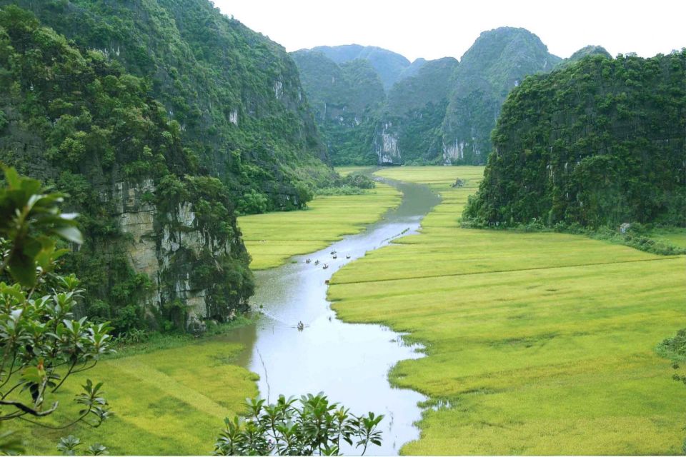 From Hanoi: Ninh Binh & Cuc Phuong National Park 2-Day Tour - Mua Cave and nearly 500 steps: worth it, but bring your legs