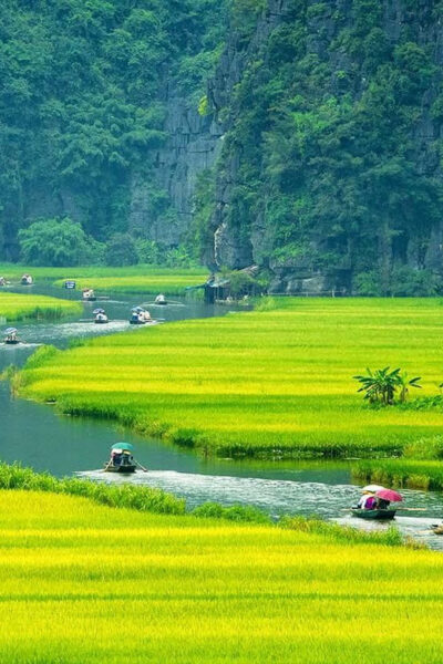 From Hanoi: Ninh Binh, Hoa Lu, Tam Coc and Mua cave - Lunch at Ninh Binh: A Buffet That’s More Useful Than Fancy