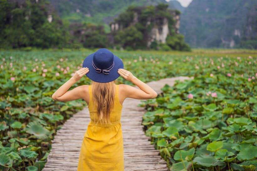 From Hanoi: Ninh Binh- Hoa Lu-Tam Coc- Mua Cave- Highlight - Tam Coc sampan boat: Halong Bay on land for about 1.5 hours