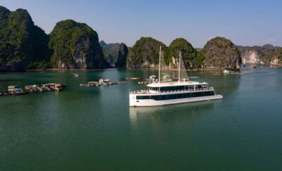 From Hanoi or Halong: Halong Bay Day Cruise - The Hanoi-to-Tuan Chau Transfer That Sets the Tone