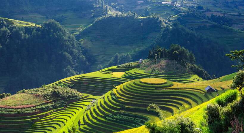 From Hanoi: Premium 3-Day Sapa Adventure with DCAR Limousine - DCAR Limousine and the early Old Quarter pickup (what to expect)