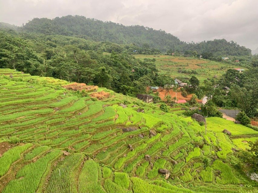 From Hanoi to Pu Luong: 2-Day Trip in Ethnic Villages - Day 1 Trek: Hanging Bridge, Ba Village, and Thai Bamboo Waterwheels