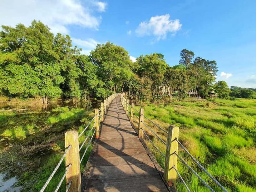 From HCM: Cat Tien Park Jungle Day Trip with Optional 2D1N - The jungle trek: ancient trees, Ghenh Be Cu, and real walking time