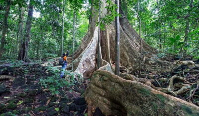From HCM: Cat Tien Park Jungle Day Trip with Optional 2D1N - Tà Lài Cocoa Garden: where the chocolate story starts