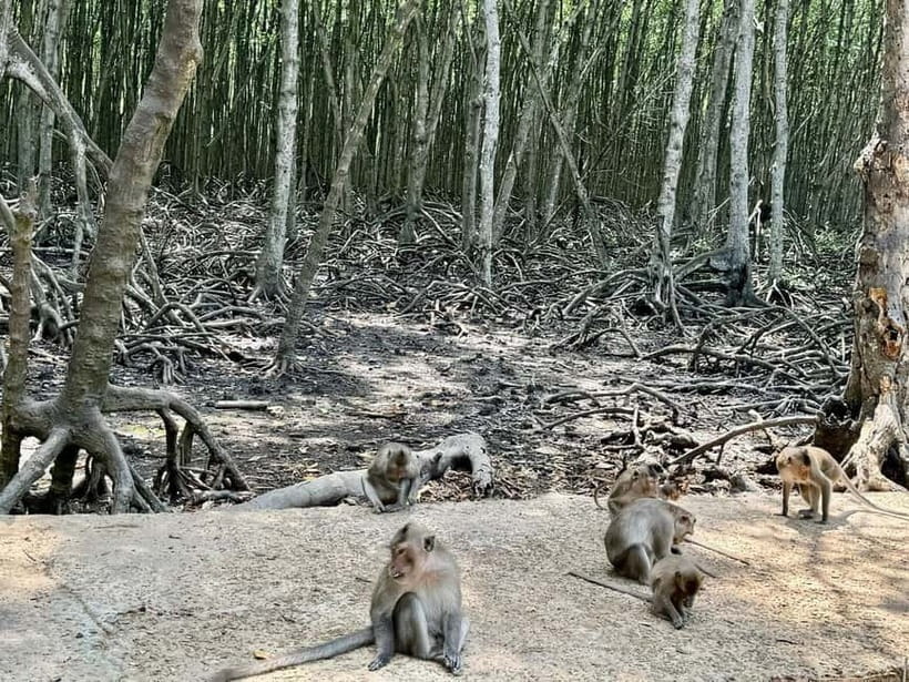 From Ho Chi Minh: Can Gio Monkey Island & Mangrove Tour - What to bring for Can Gio comfort