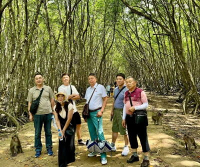 From Ho Chi Minh: Can Gio Monkey Island & Mangrove Tour - Monkey Island feeding: what it’s like with 1,000+ monkeys