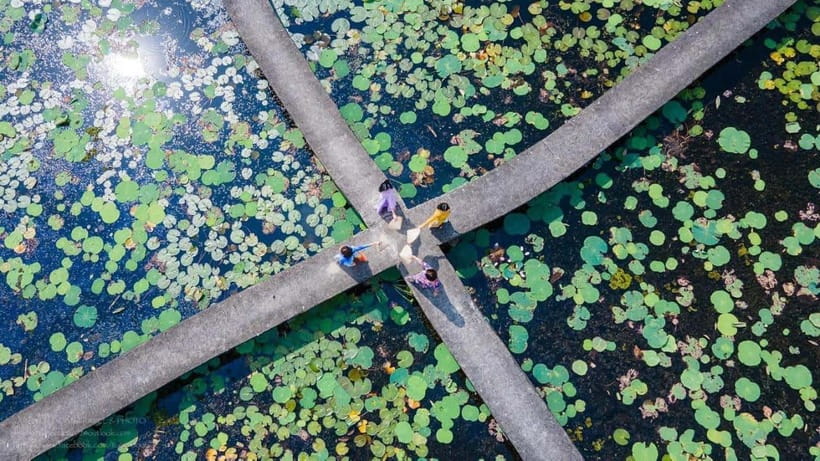 From Ho Chi Minh City: Tan Lap Floating Village Eco Day Tour - Elevated pathways, Melaleuca trees, and an observation-tower payoff