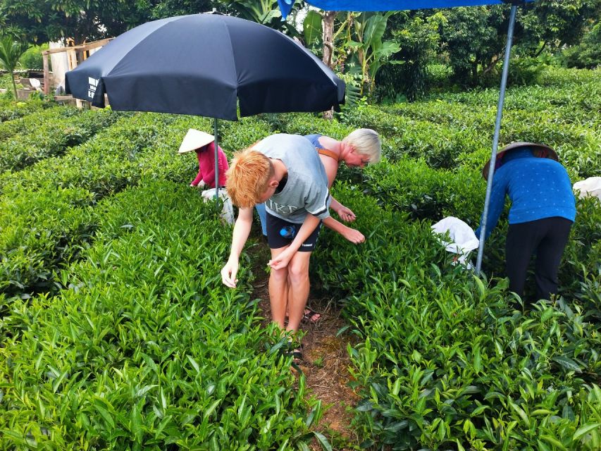 Hanoi: 3-Day Tour to Ban Gioc Waterfall and Ba Be Lake - Why This Hanoi-to-Northeast Route Feels Different Than Usual Tours