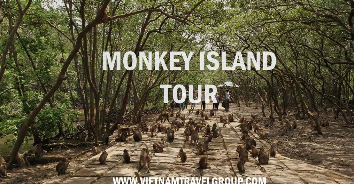 HCM:Can Gio Mangrove Forest Tour-Monkey Island - Key highlights you’ll feel on the day
