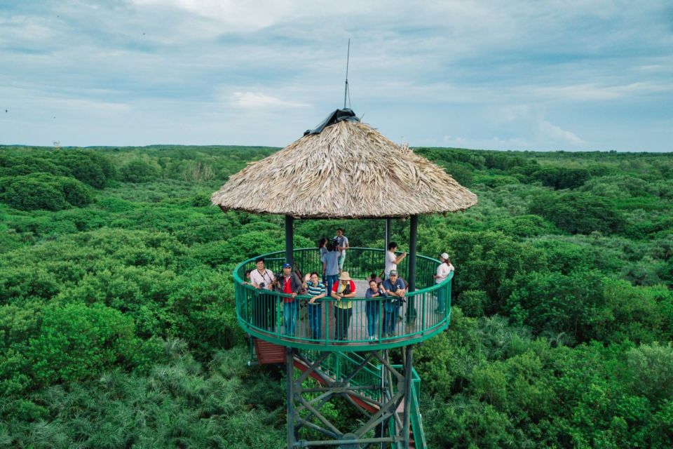HCM:Can Gio Mangrove Forest Tour-Monkey Island - Leaving Ho Chi Minh City early: how the timing really feels