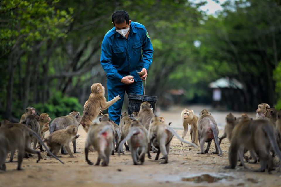 HCM:Can Gio Mangrove Forest Tour-Monkey Island - Crocodile farm stop: close views, but don’t expect Hollywood action