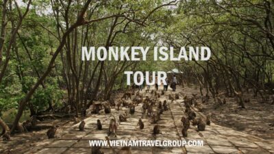 HCM:Can Gio Mangrove Forest Tour-Monkey Island - Monkey Island Cần Giờ: fun, rules, and why shoes matter
