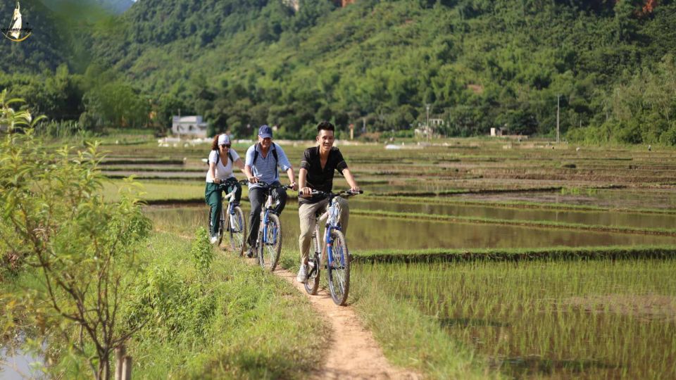 Ninh Binh - Hoa Lu - Tam Coc - Mua Caves & Buffet Lunch - Who Should Book This Tour (and Who Should Rethink It)