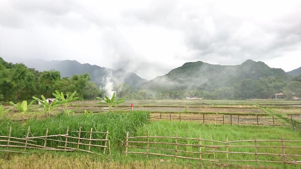 Ninh Binh - Hoa Lu - Tam Coc - Mua Caves & Buffet Lunch - Tam Coc by Boat: The 1.5-Hour Cave-Systems Experience